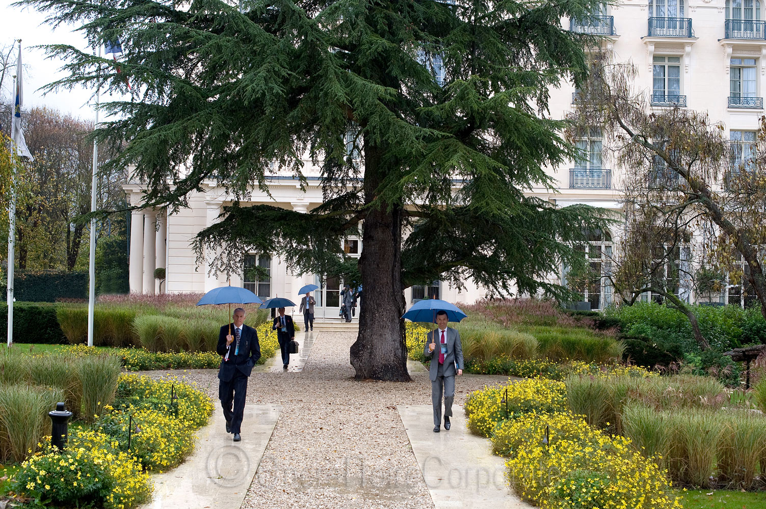 Photographie Corporate Versailles